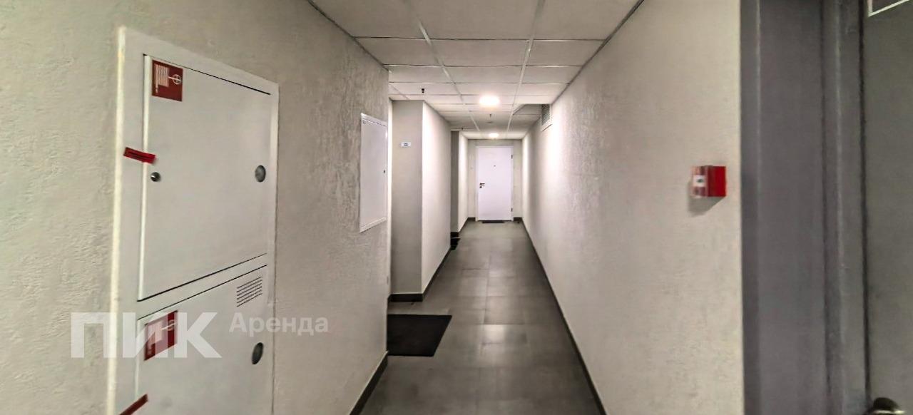 3-к. квартира, 71.7 м², 113 700 ₽/мес — фото № 23