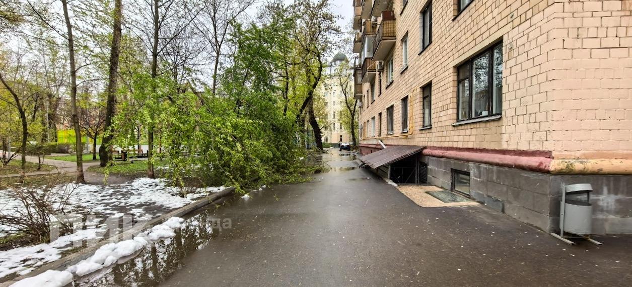 1-к. квартира, 30 м², 79 100 ₽/мес — фото № 21