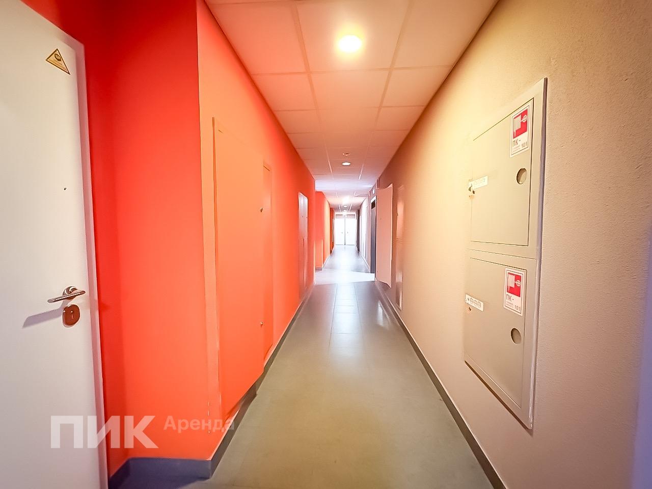 2-к. квартира, 51.6 м², 58 100 ₽/мес — фото № 13
