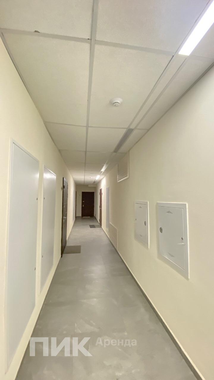 2-к. квартира, 54 м², 71 300 ₽/мес — фото № 14