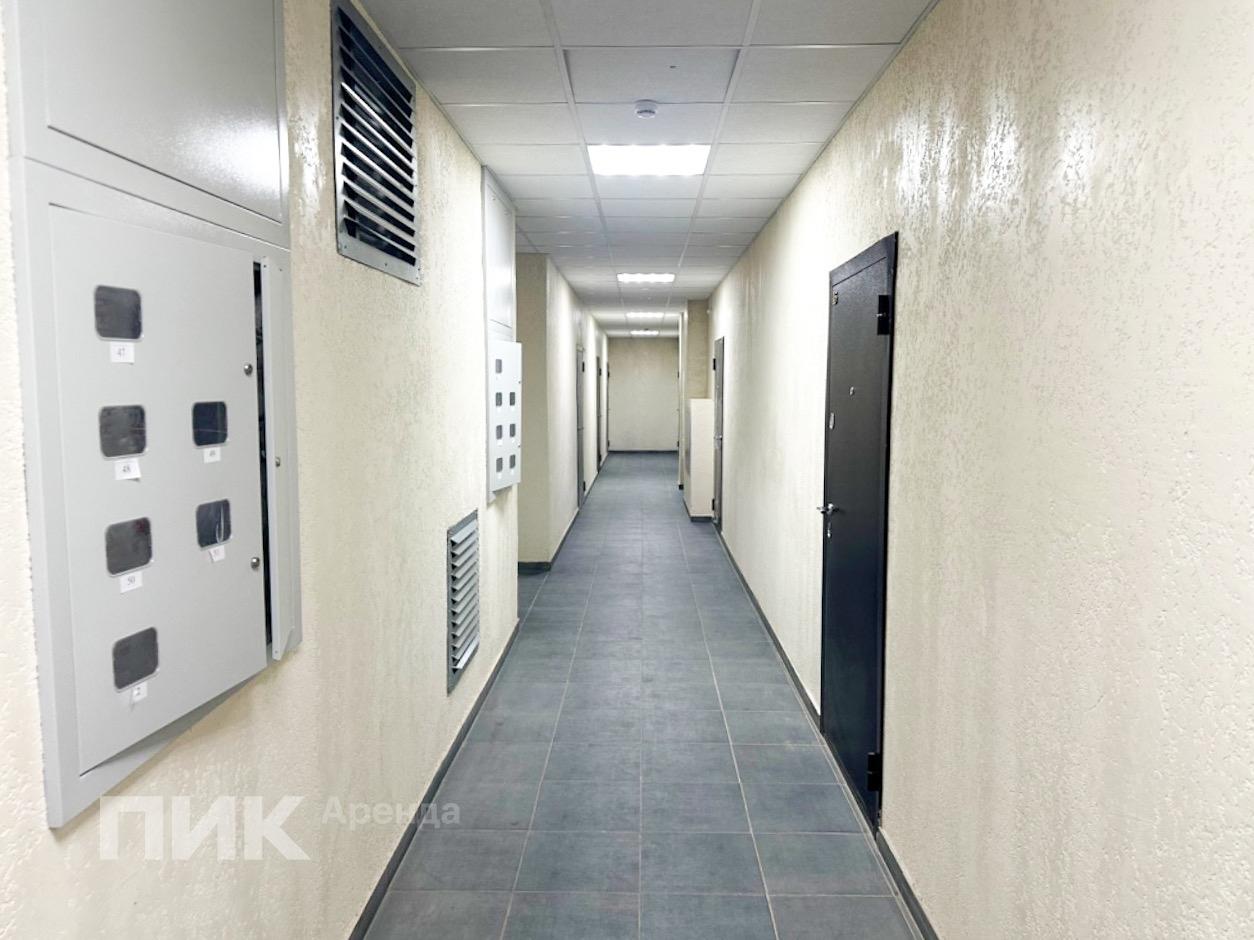 1-к. квартира, 35.6 м², 30 000 ₽/мес — фото № 12