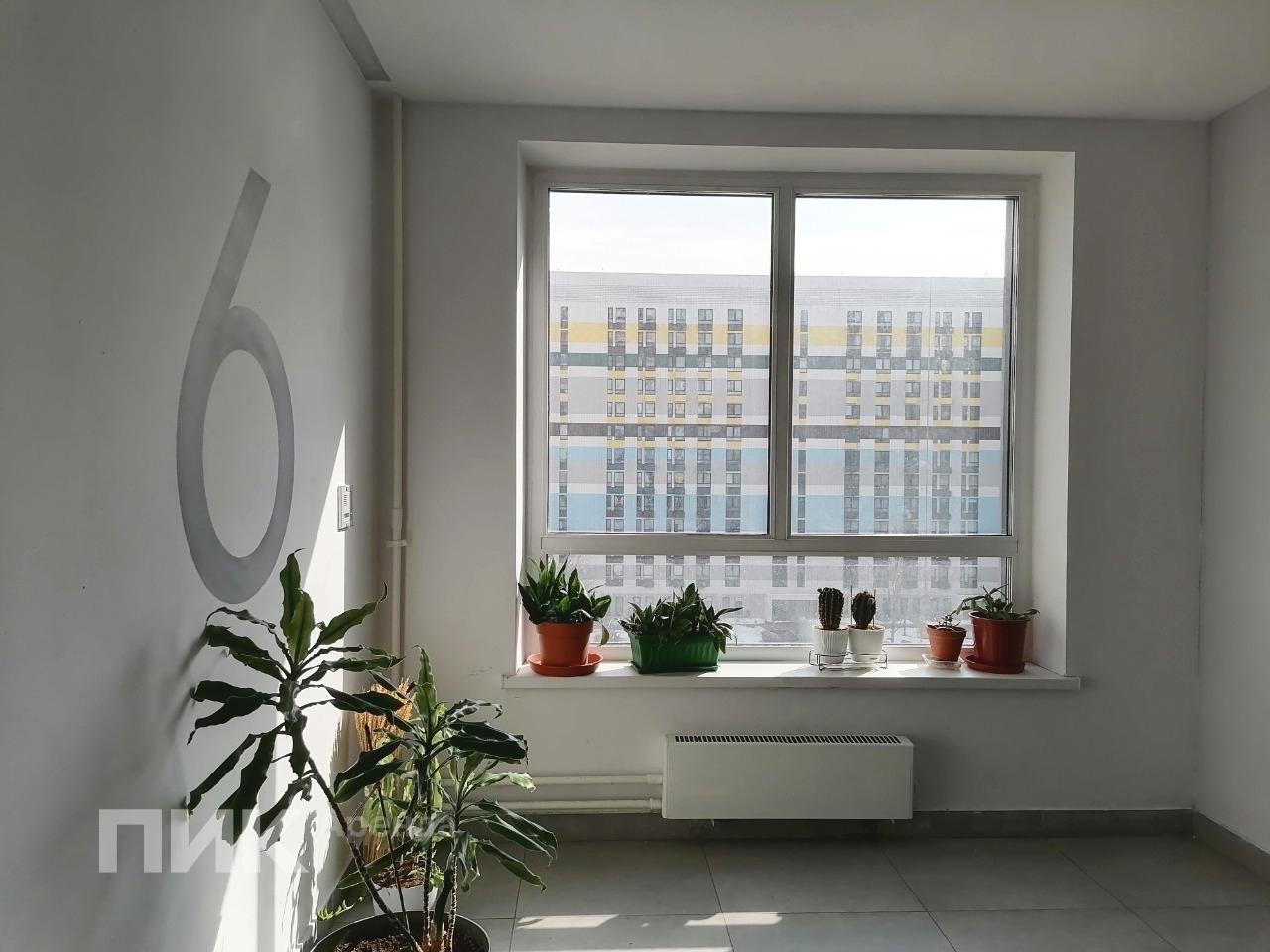 студия, 36 м², 65 800 ₽/мес — фото № 11