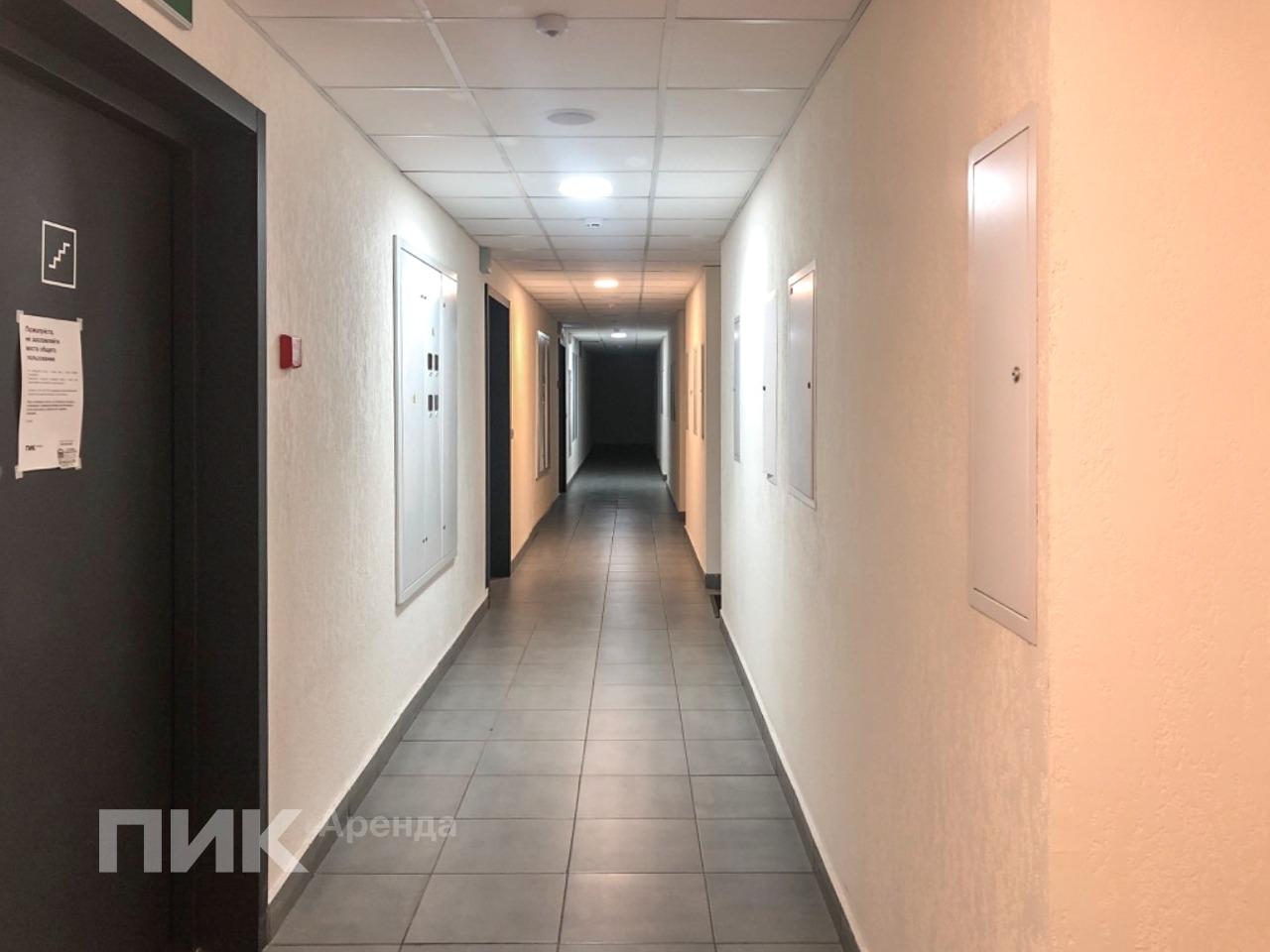 1-к. квартира, 52.2 м², 73 900 ₽/мес — фото № 15