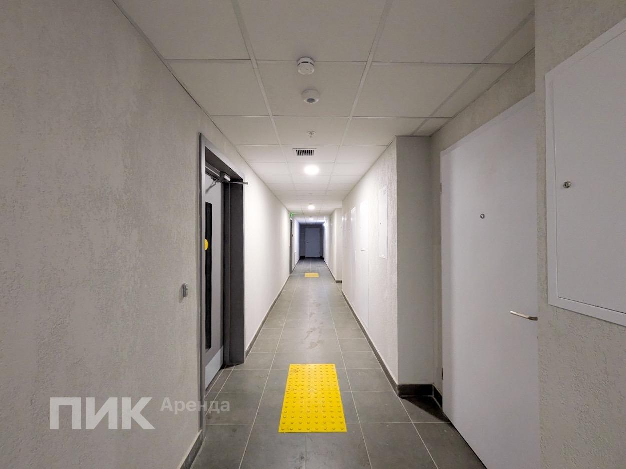 студия, 19.6 м², 55 000 ₽/мес — фото № 11