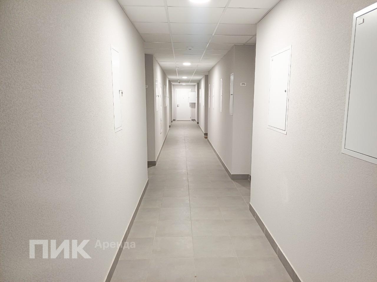 2-к. квартира, 50.5 м², 40 000 ₽/мес — фото № 12