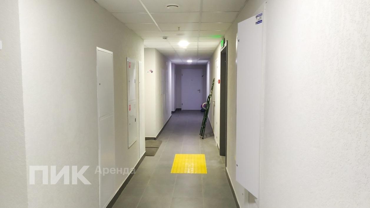 2-к. квартира, 50.9 м², 90 500 ₽/мес — фото № 18