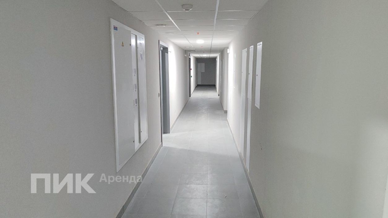 3-к. квартира, 71 м², 115 200 ₽/мес — фото № 19