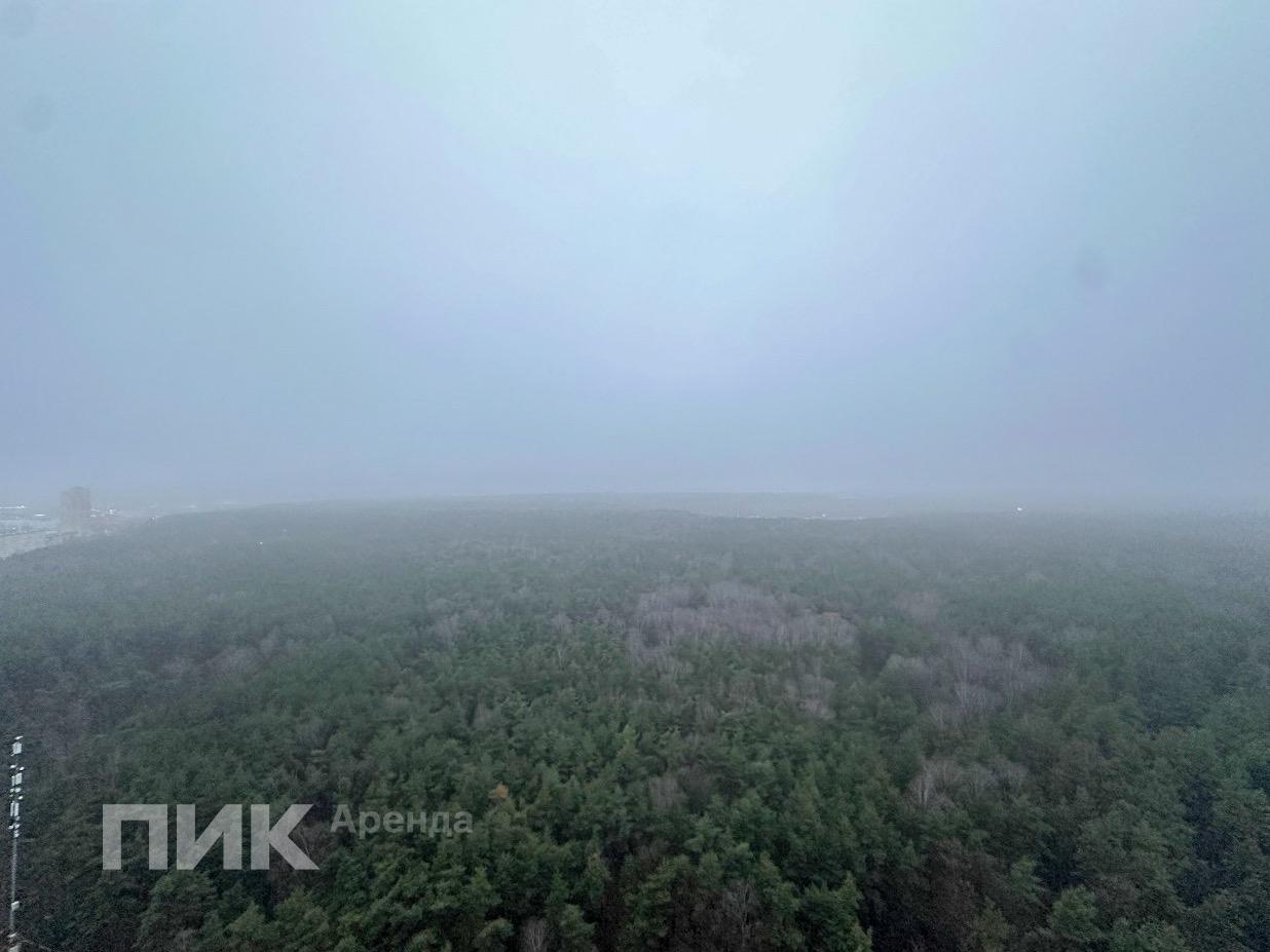 1-к. квартира, 34.9 м², 68 700 ₽/мес — фото № 11