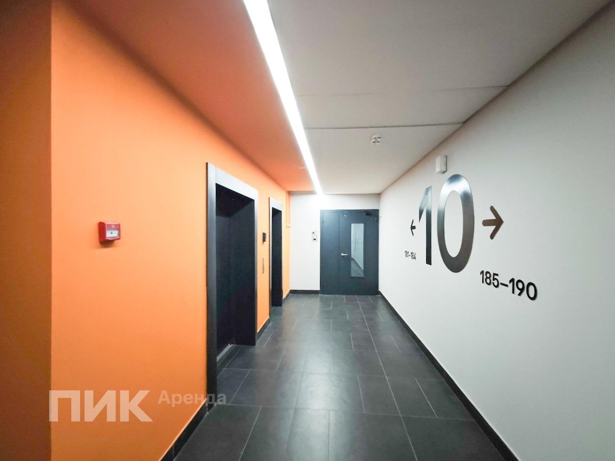 1-к. квартира, 37 м², 77 000 ₽/мес — фото № 11
