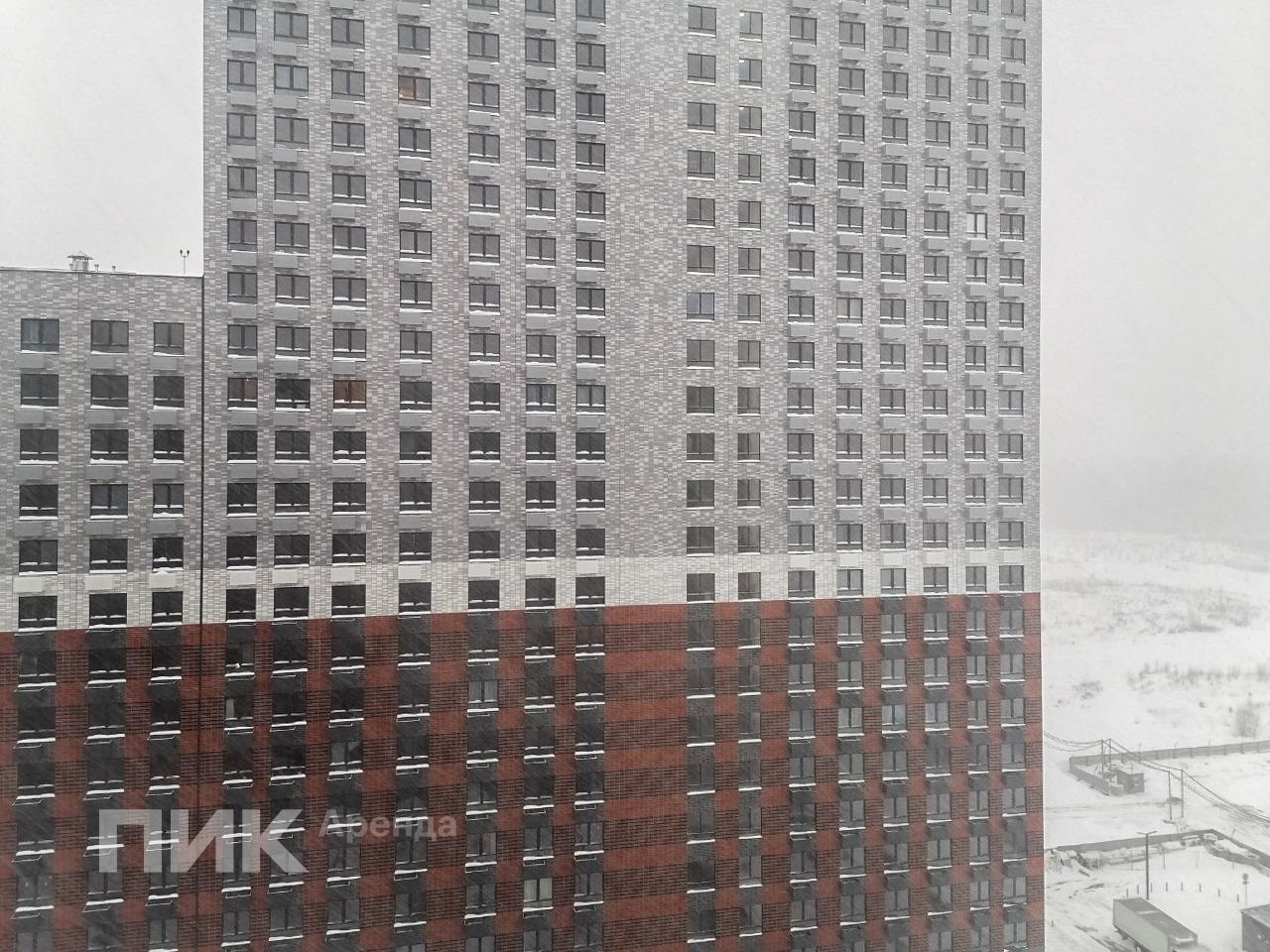 1-к. квартира, 33 м², 49 900 ₽/мес — фото № 15