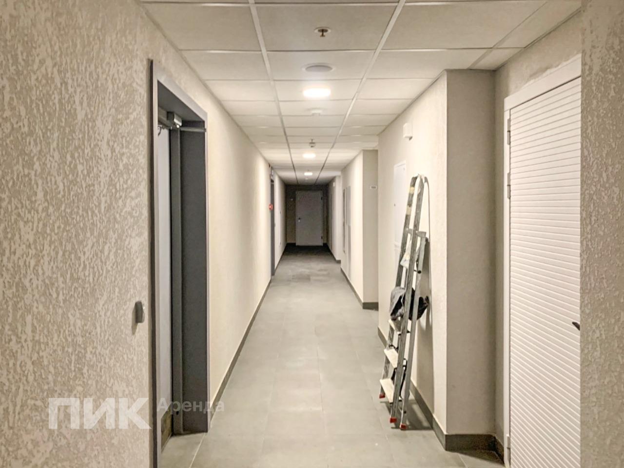 1-к. квартира, 34 м², 69 800 ₽/мес — фото № 12