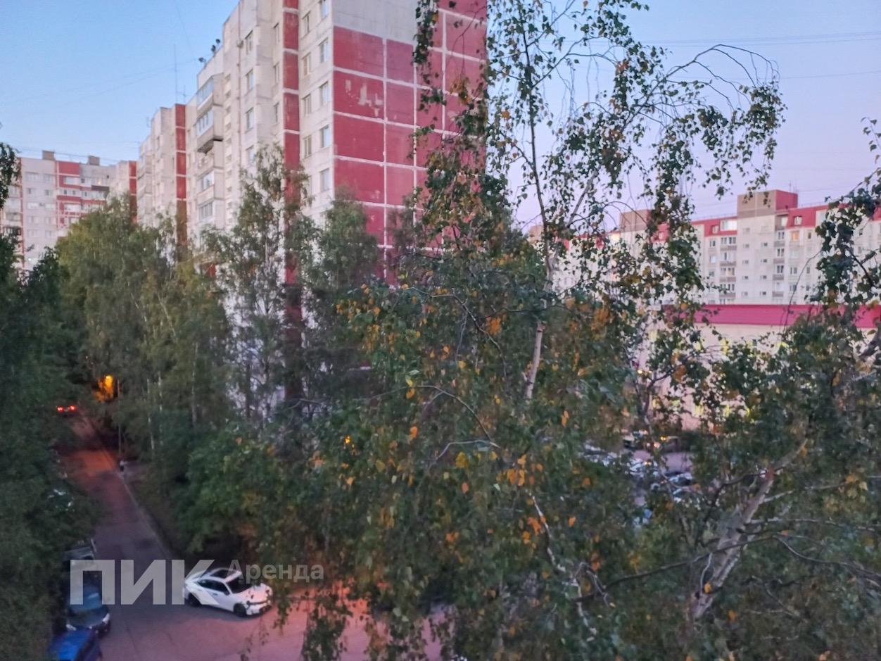 1-к. квартира, 38.2 м², 47 800 ₽/мес — фото № 16