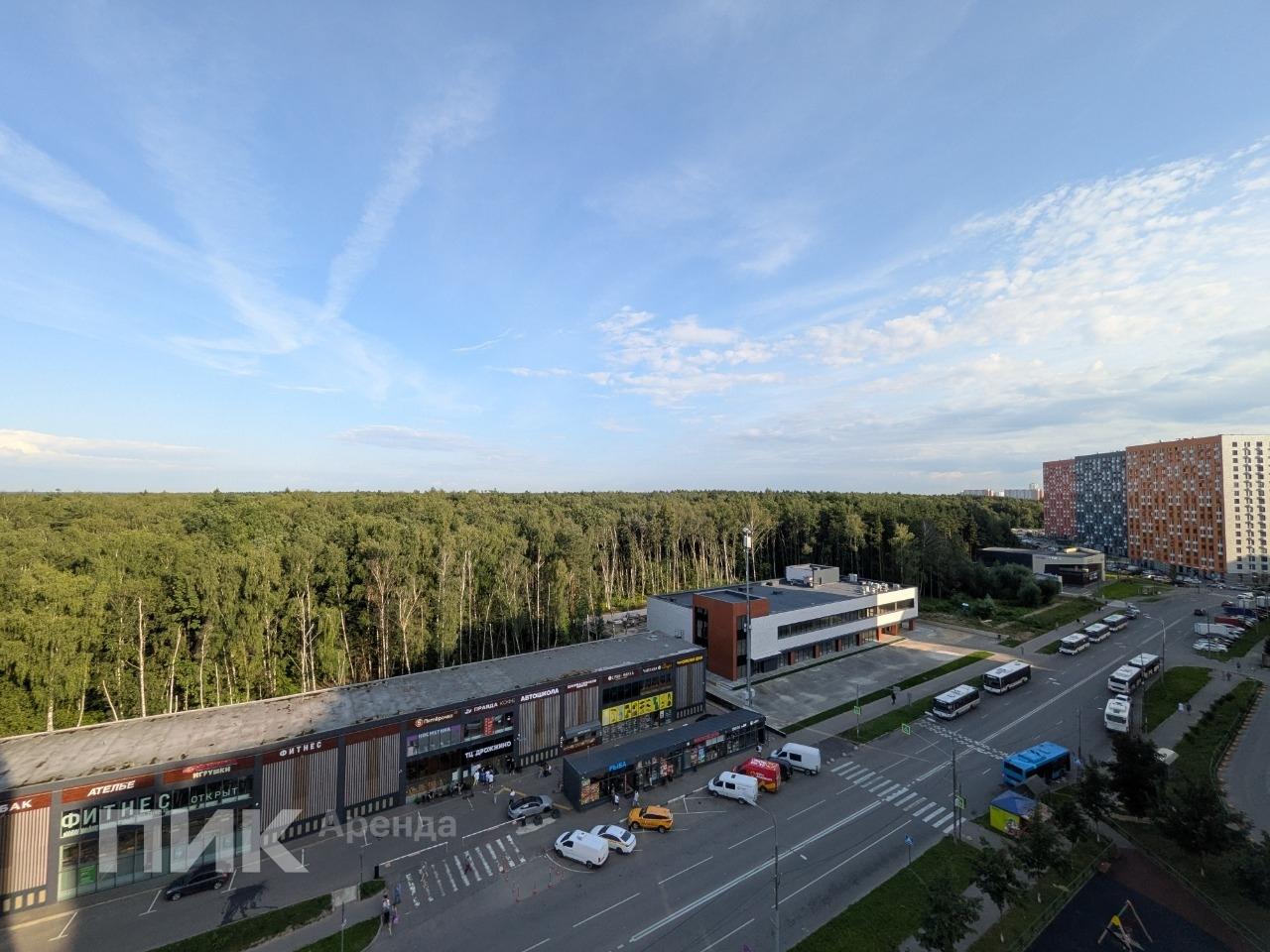 1-к. квартира, 32.9 м², 39 000 ₽/мес — фото № 15