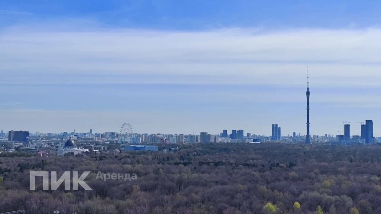 2-к. квартира, 35 м², 83 200 ₽/мес — фото № 13