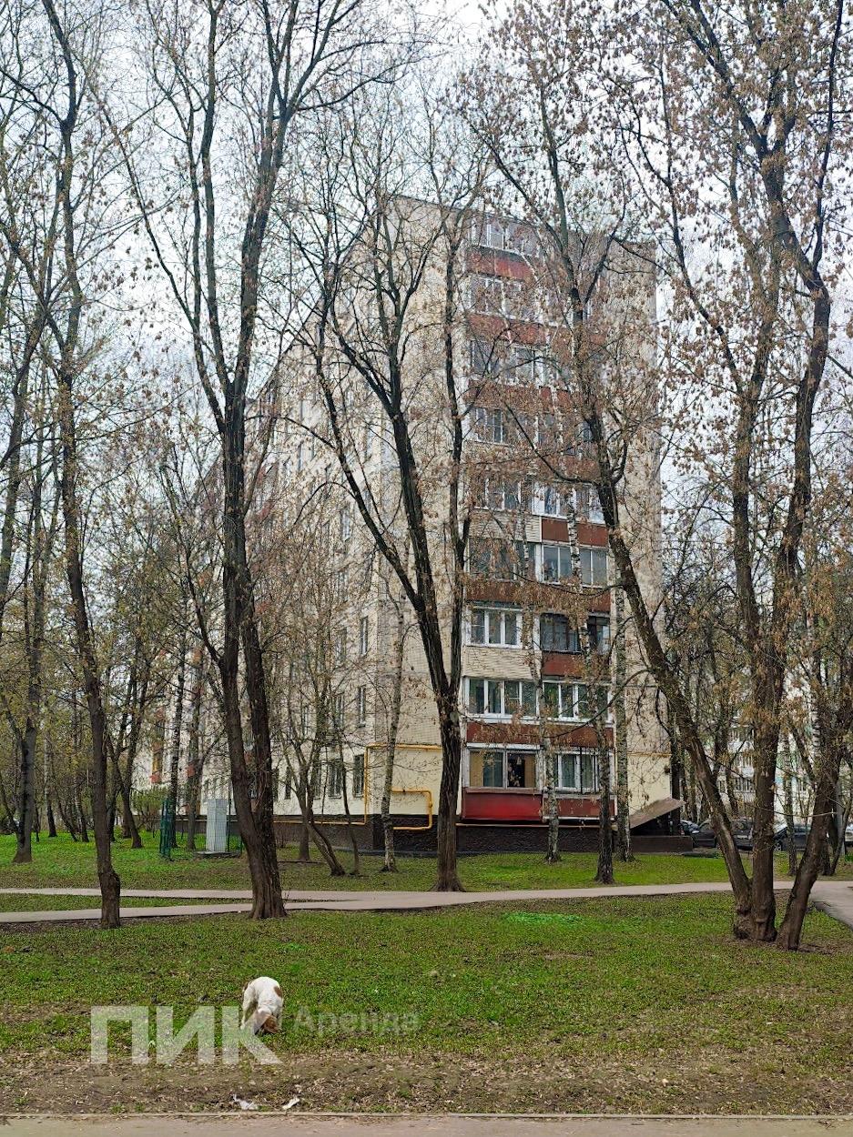 1-к. квартира, 32 м², 71 300 ₽/мес — фото № 18