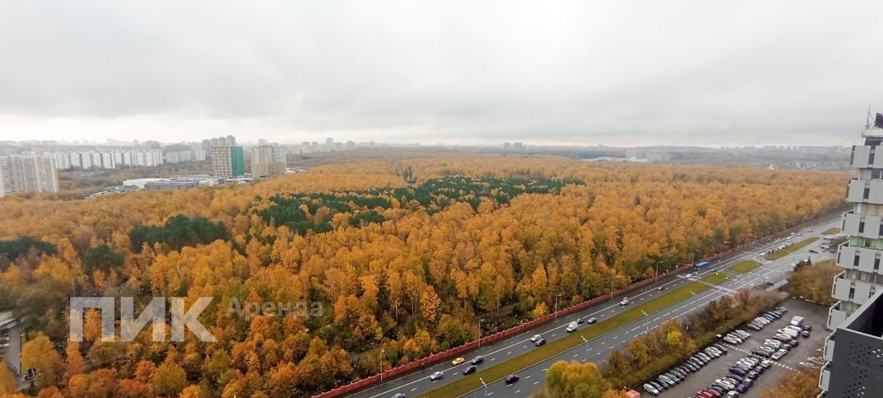 студия, 25.3 м², 60 000 ₽/мес — фото № 13