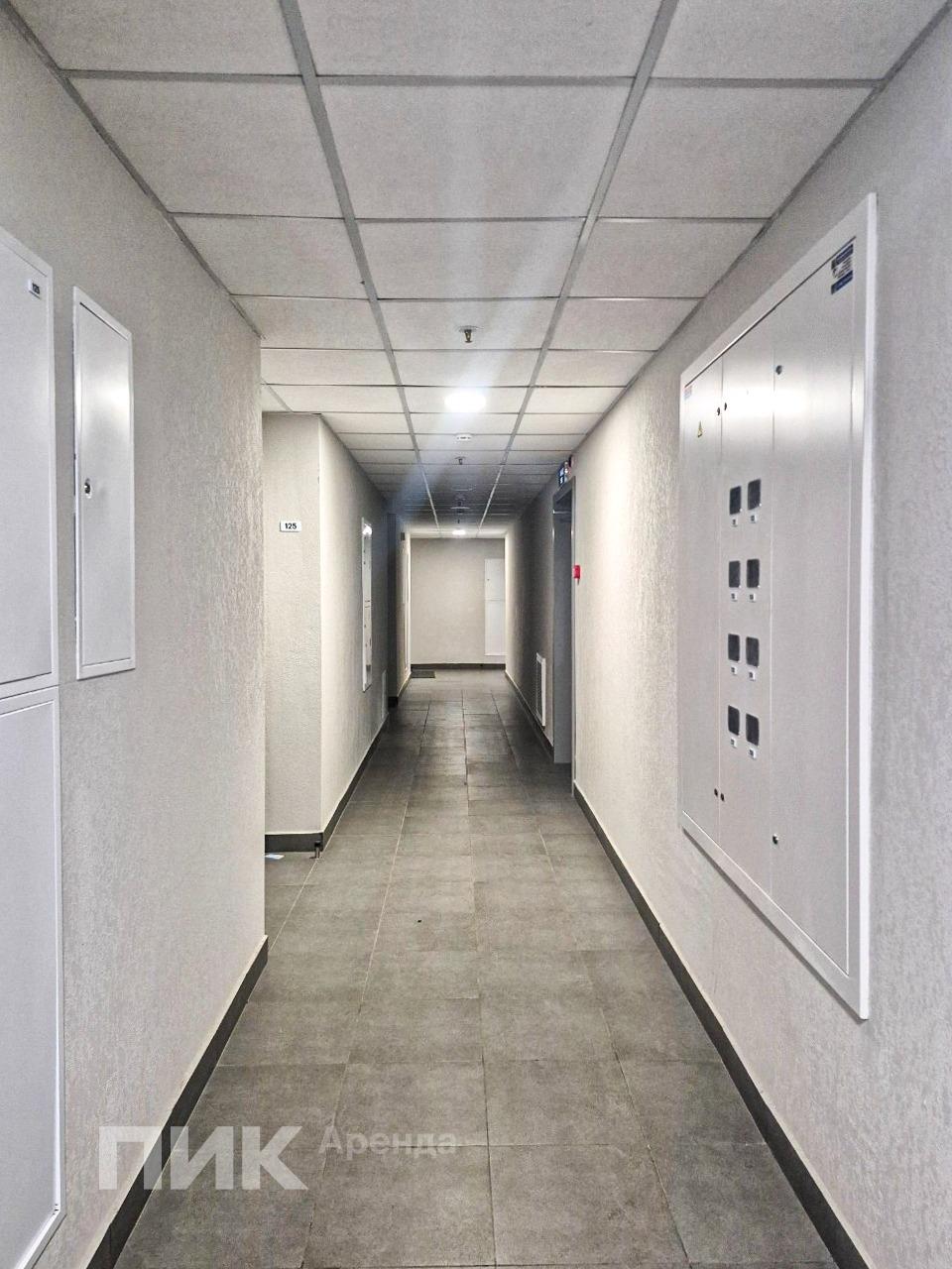 1-к. квартира, 31 м², 76 600 ₽/мес — фото № 11