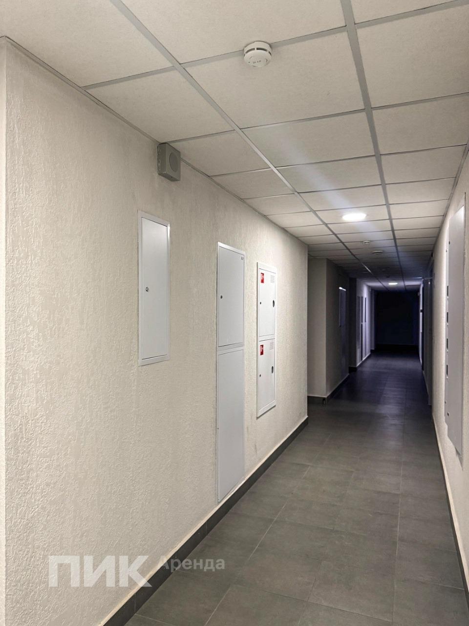 1-к. квартира, 33 м², 53 000 ₽/мес — фото № 14