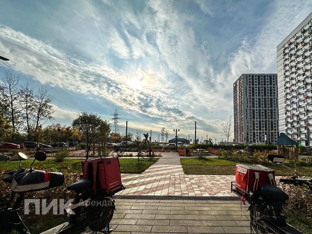 1-к. квартира, 33 м², 55 000 ₽/мес — фото № 18