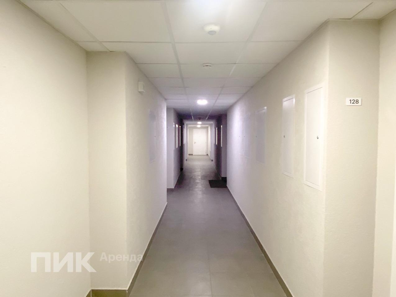 1-к. квартира, 36 м², 63 500 ₽/мес — фото № 13