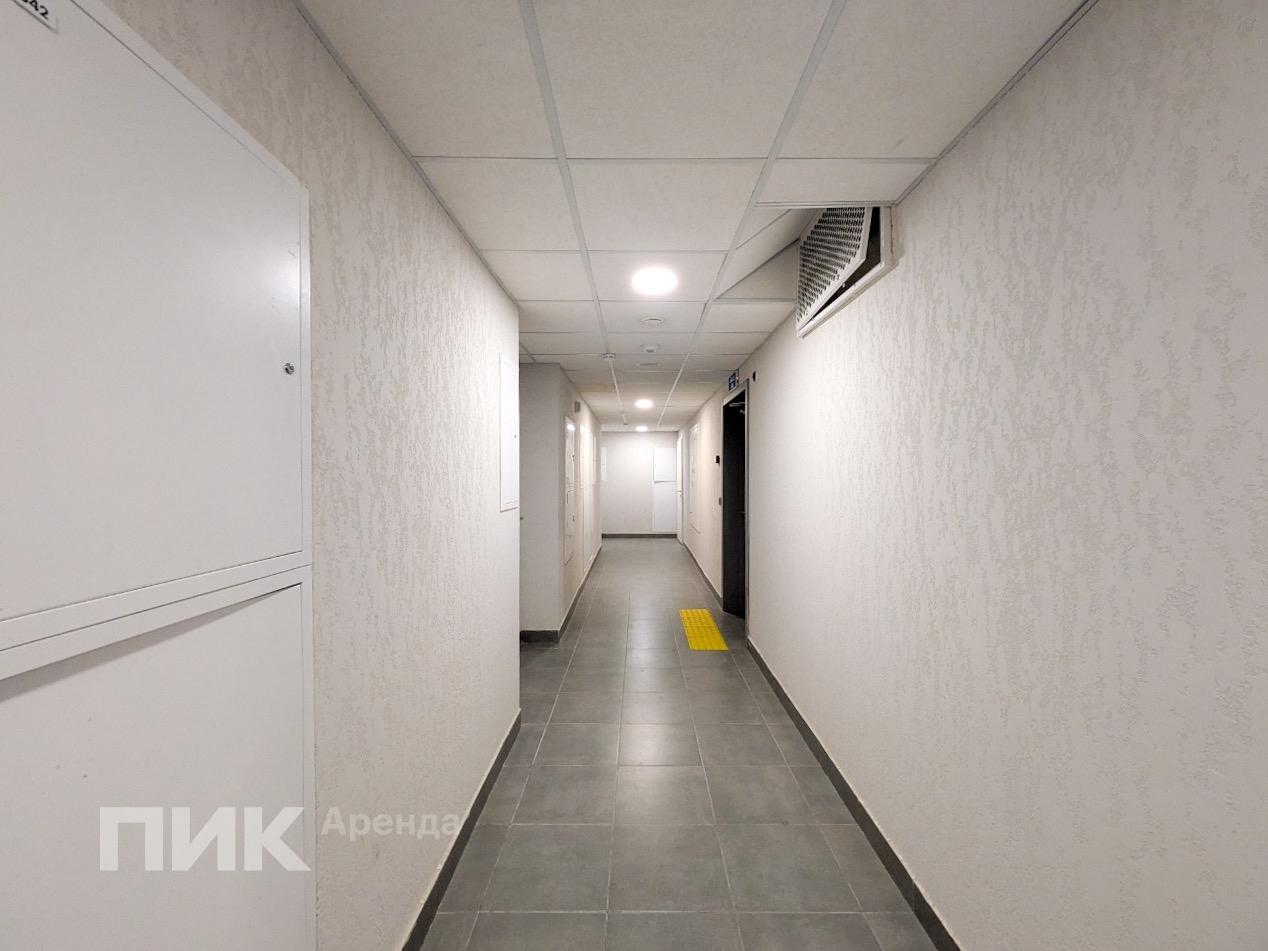 1-к. квартира, 31 м², 74 000 ₽/мес — фото № 12