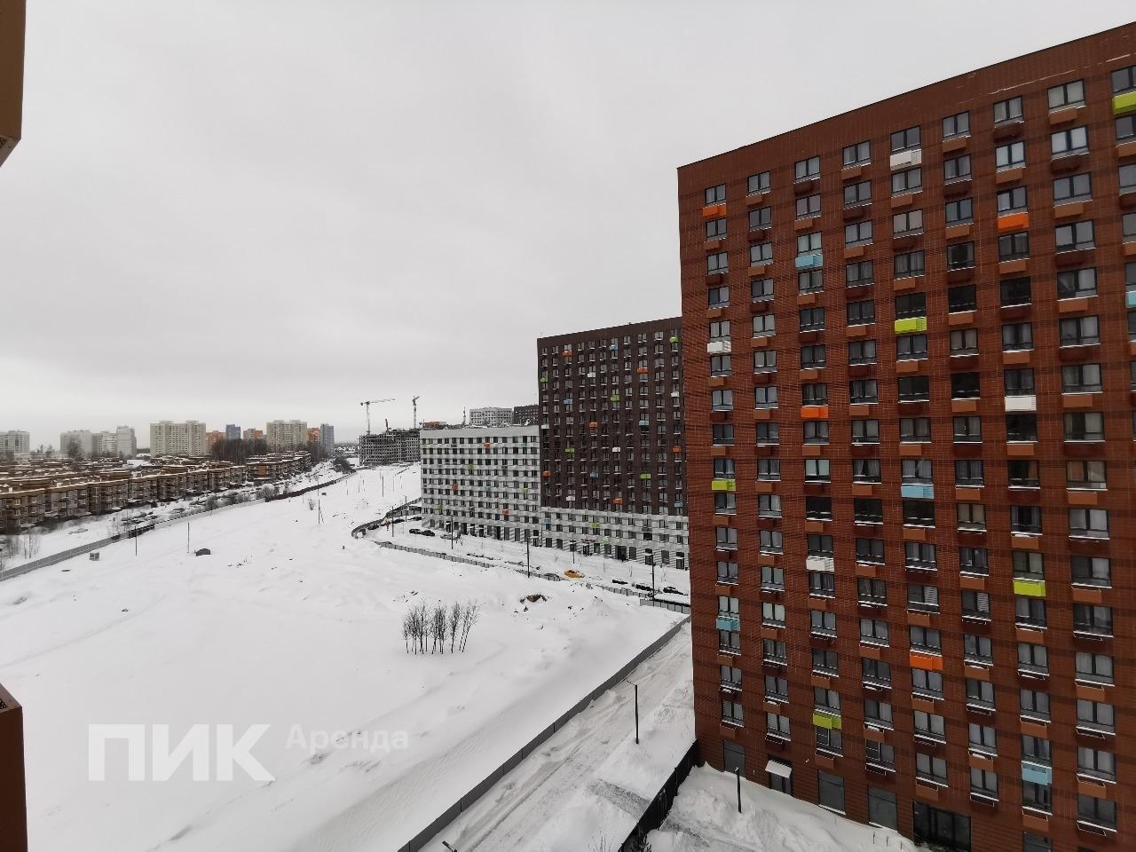 студия, 21.6 м², 60 600 ₽/мес — фото № 11