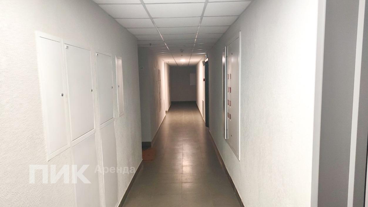 1-к. квартира, 32 м², 70 900 ₽/мес — фото № 13