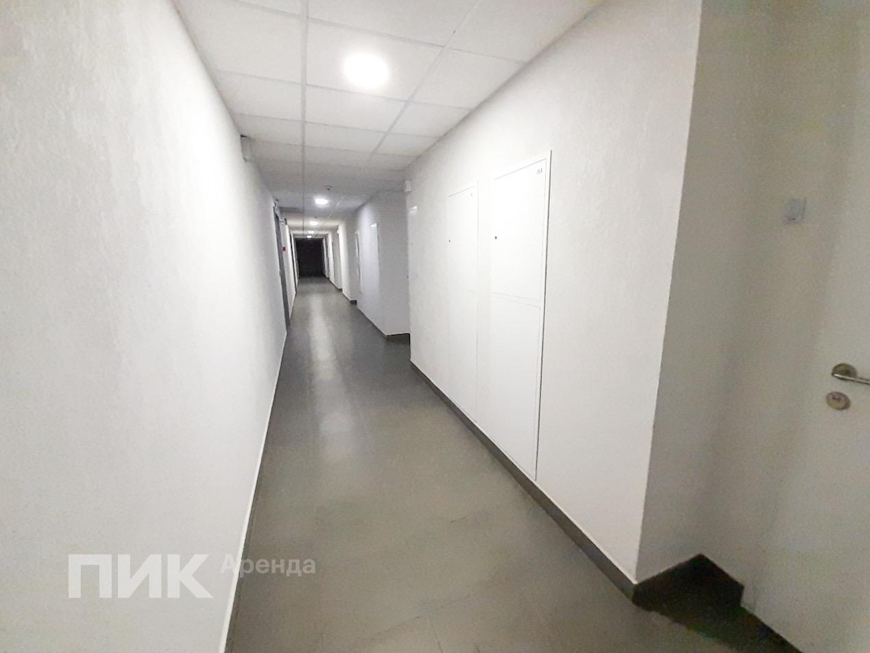 3-к. квартира, 71.9 м², 65 000 ₽/мес — фото № 16