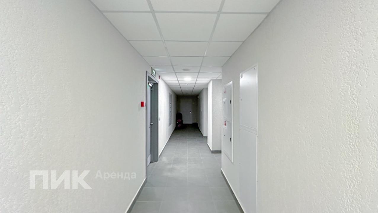 1-к. квартира, 33.4 м², 63 500 ₽/мес — фото № 13
