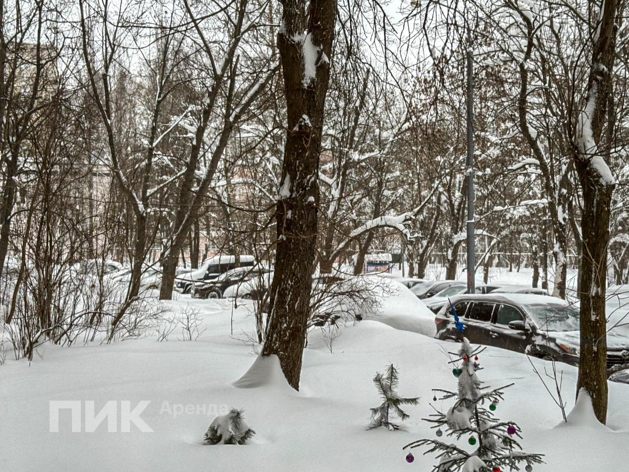 2-к. квартира, 39 м², 60 000 ₽/мес — фото № 21