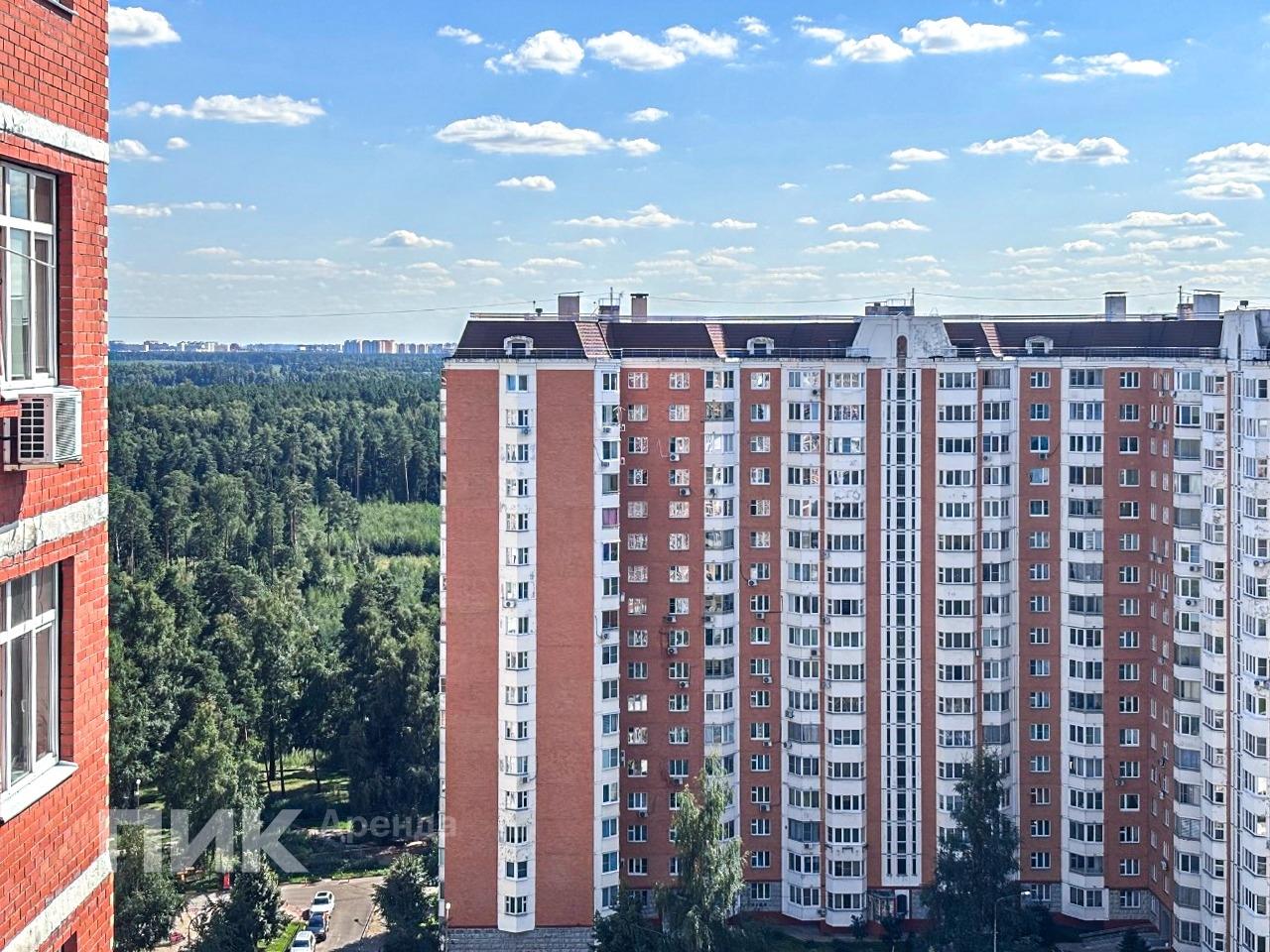 1-к. квартира, 46 м², 35 100 ₽/мес — фото № 17