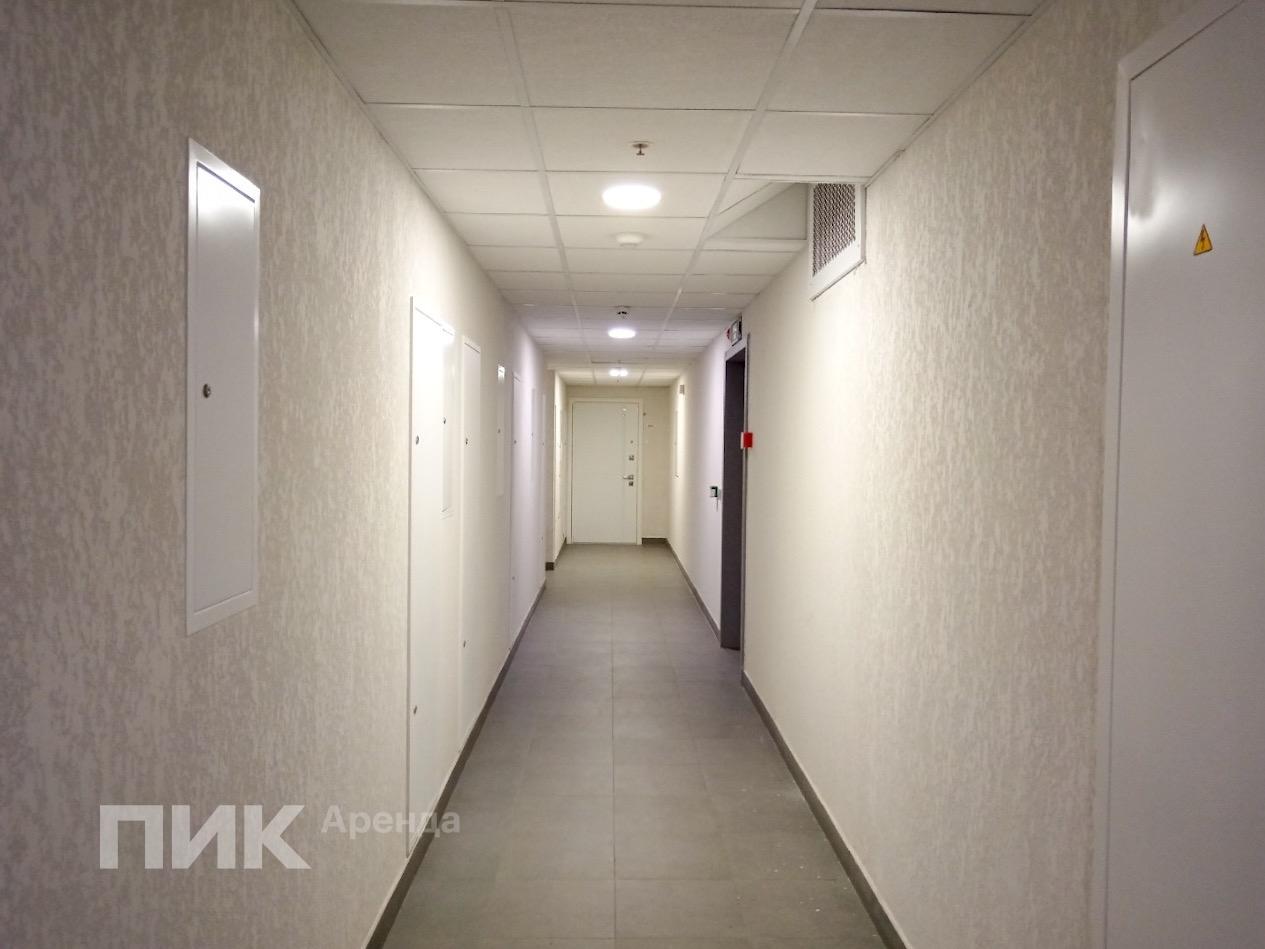 2-к. квартира, 61.2 м², 115 000 ₽/мес — фото № 19