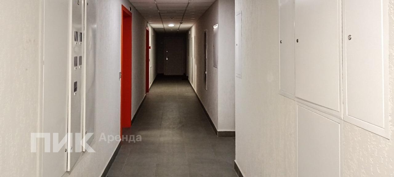 1-к. квартира, 33.5 м², 84 300 ₽/мес — фото № 14