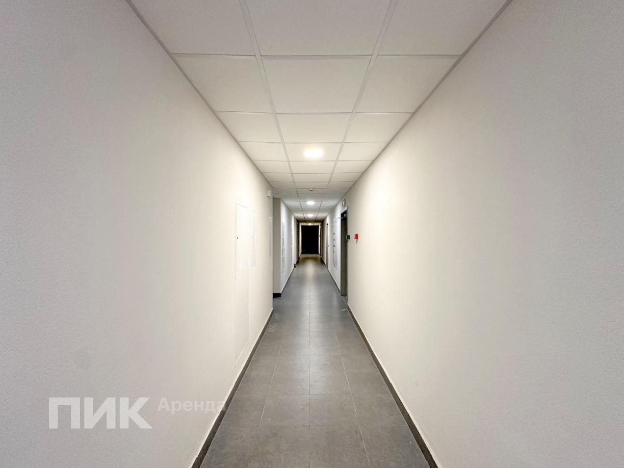 1-к. квартира, 33.3 м², 69 800 ₽/мес — фото № 12