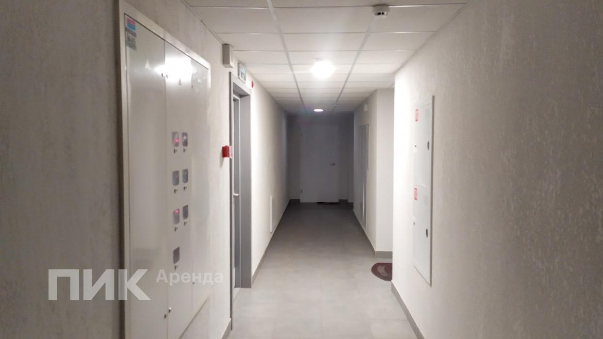 2-к. квартира, 58.7 м², 68 000 ₽/мес — фото № 17