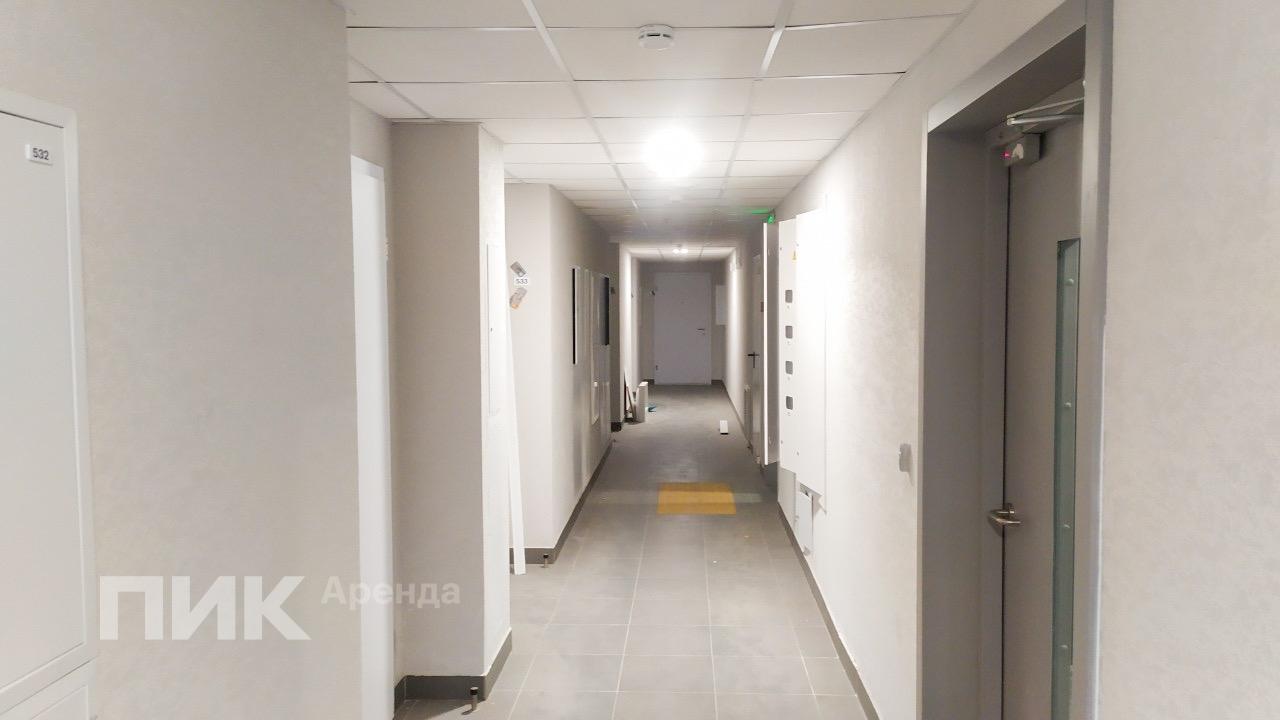 студия, 23 м², 65 000 ₽/мес — фото № 11