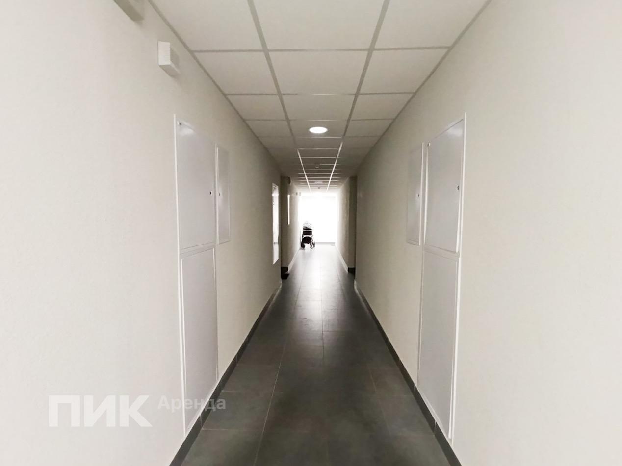 2-к. квартира, 56 м², 84 300 ₽/мес — фото № 15