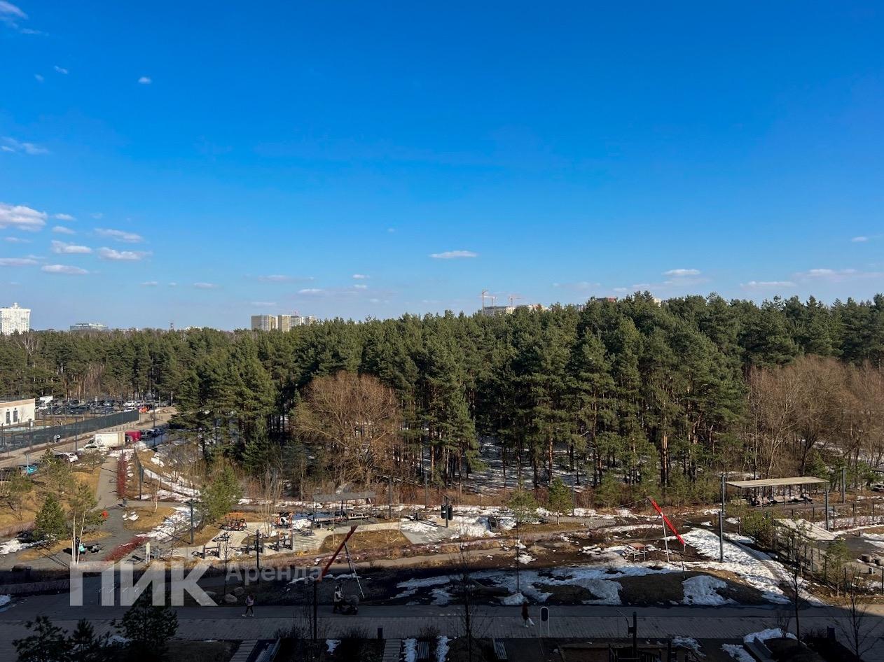 3-к. квартира, 80 м², 127 500 ₽/мес — фото № 21