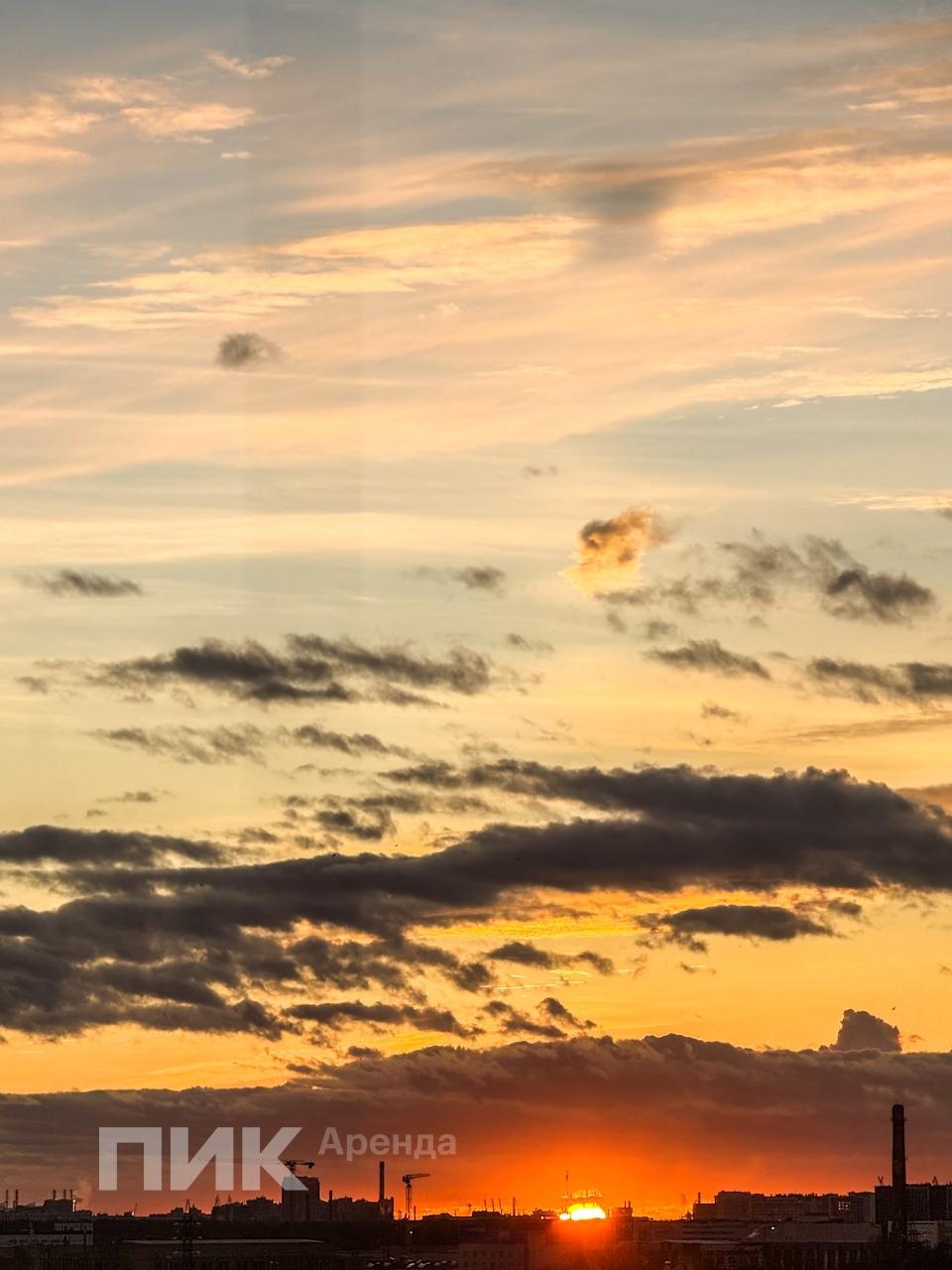 студия, 23.7 м², 44 700 ₽/мес — фото № 12