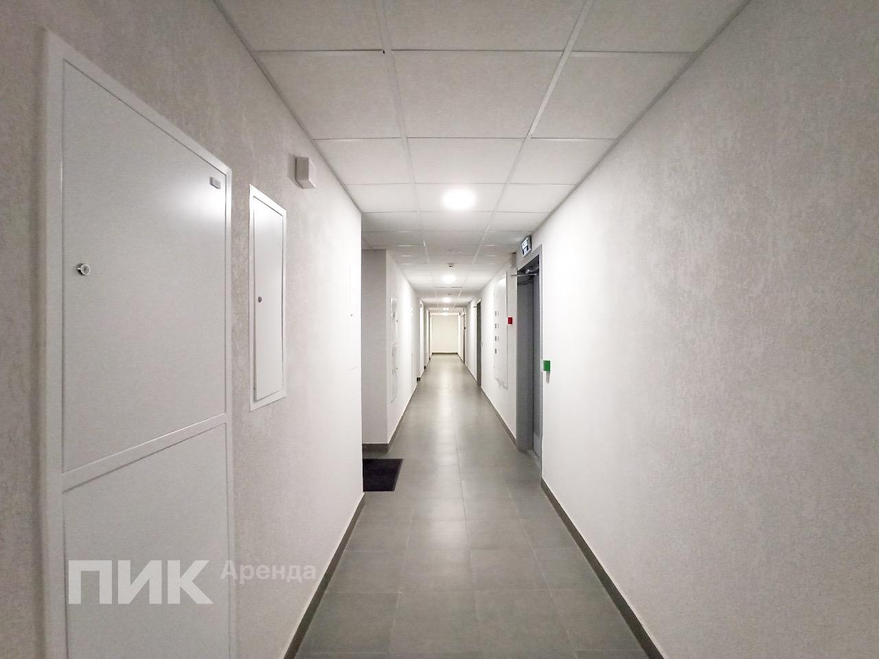 1-к. квартира, 33.1 м², 40 000 ₽/мес — фото № 13