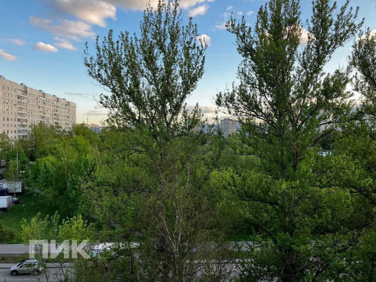 студия, 21 м², 55 000 ₽/мес — фото № 10