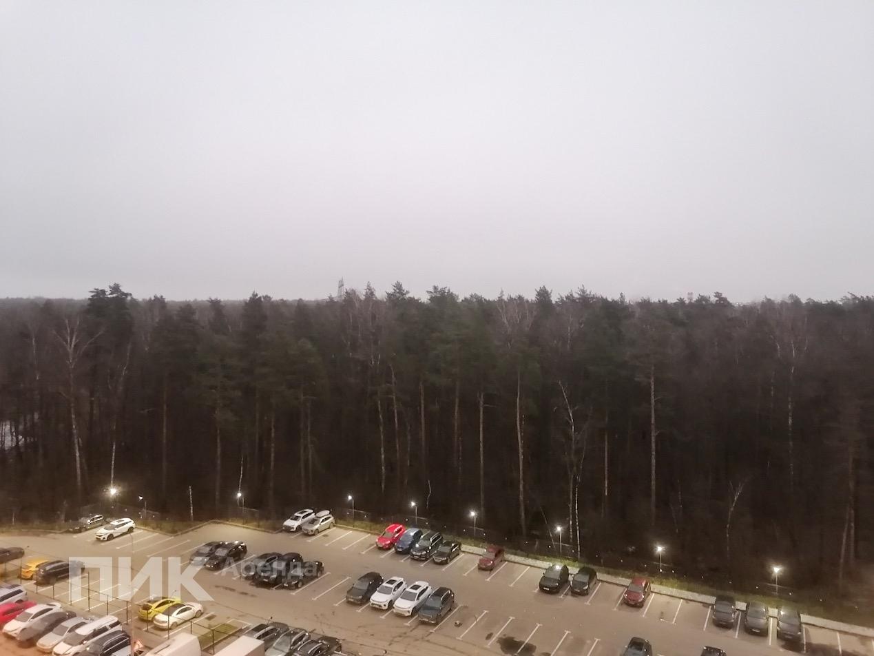 студия, 19.6 м², 46 000 ₽/мес — фото № 12