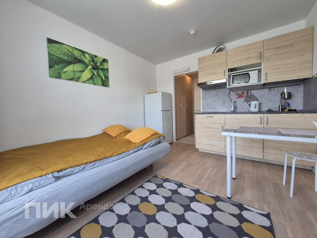 студия, 20 м², 45 000 ₽/мес — фото № 5