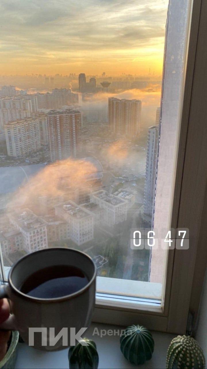 1-к. квартира, 32 м², 50 000 ₽/мес — фото № 14
