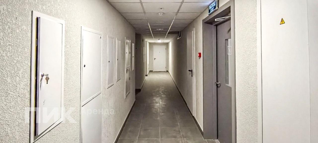 студия, 20 м², 54 900 ₽/мес — фото № 9