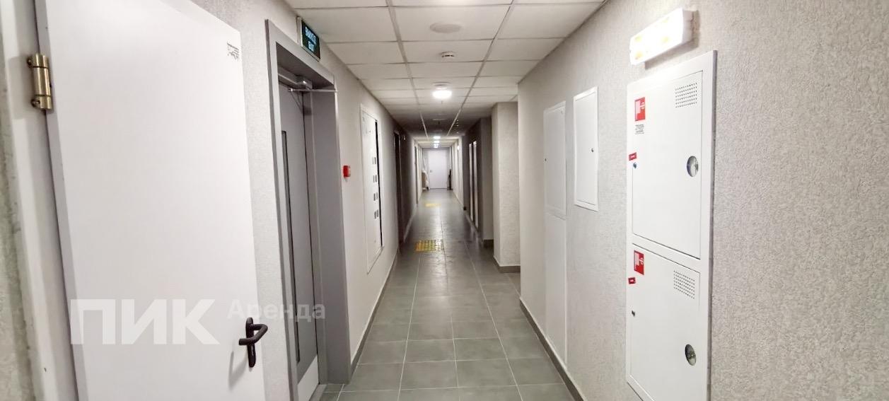 1-к. квартира, 33.6 м², 72 000 ₽/мес — фото № 13