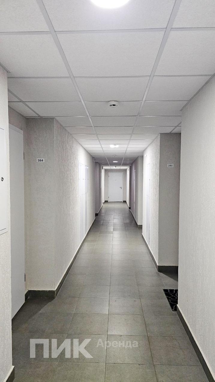 2-к. квартира, 33 м², 46 600 ₽/мес — фото № 11