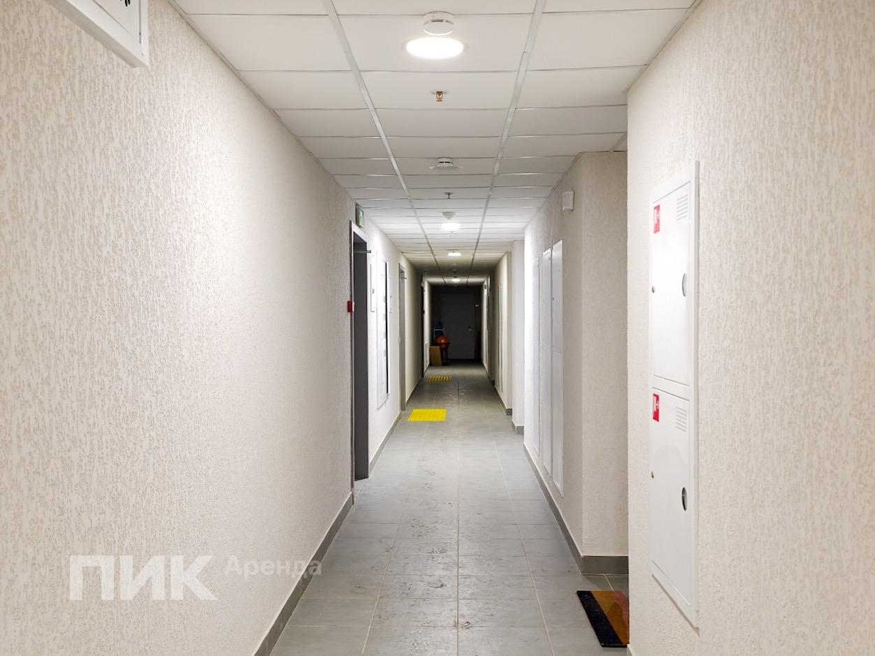 1-к. квартира, 34 м², 89 500 ₽/мес — фото № 15