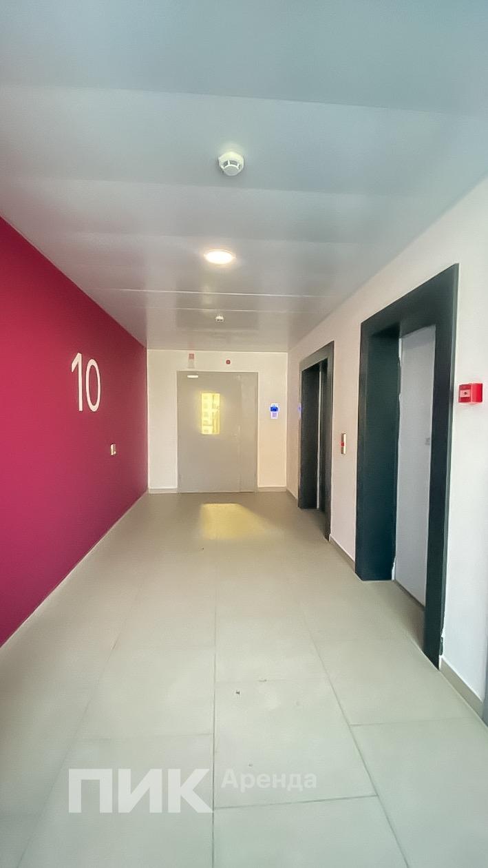 1-к. квартира, 41.3 м², 83 500 ₽/мес — фото № 14