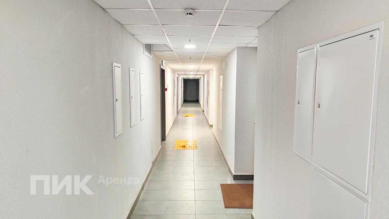 2-к. квартира, 48 м², 98 800 ₽/мес — фото № 15